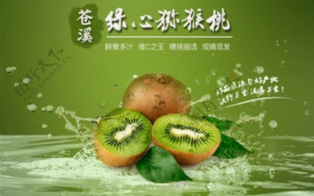 绿心猕猴桃水果宣传海报设计psd