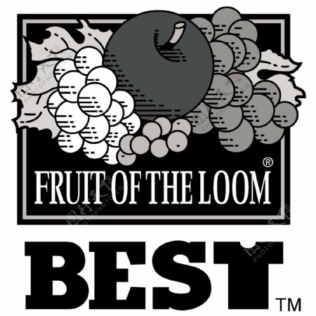 黑白色水果创意logo设计
