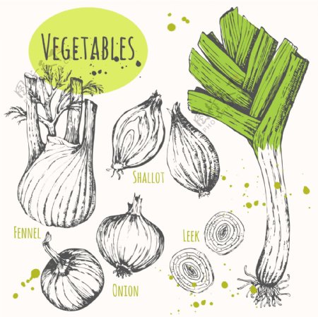 手绘调味蔬菜插画