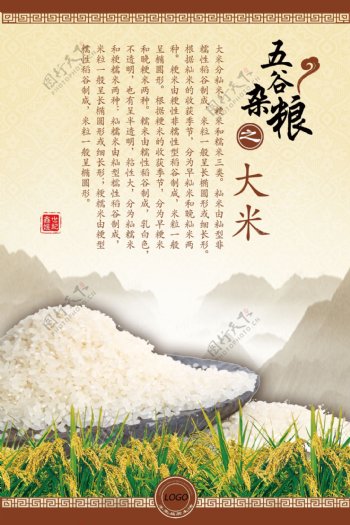中国风大米粮食海报五谷杂粮海报
