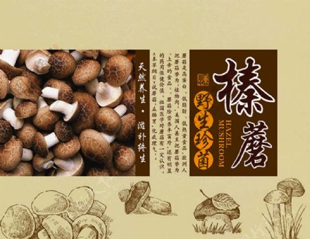 野生珍菌榛蘑菇食品包装设计