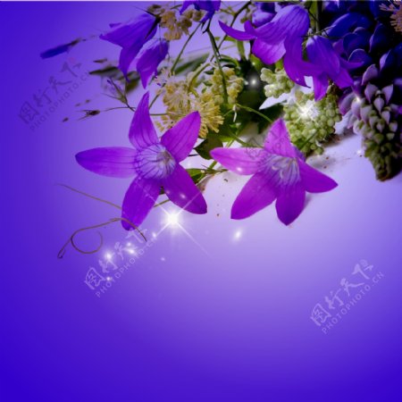 紫色花朵吊顶图案