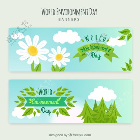 世界环境日雏菊绿叶装饰图案背景
