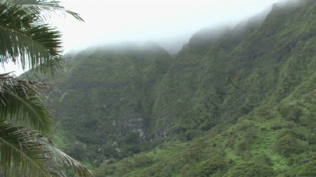 夏威夷绿山股票视频视频免费下载