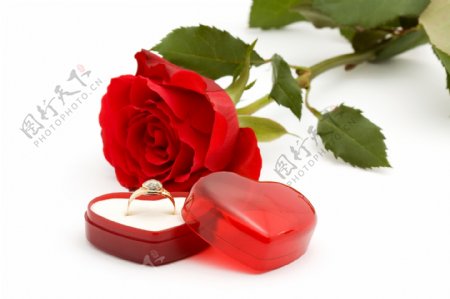 情人节玫瑰花与戒指图片