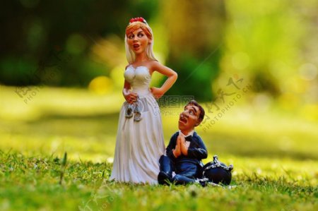 草地上的结婚小人