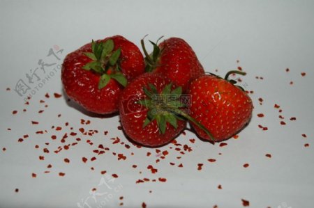 桌上的四颗草莓