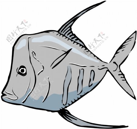 五彩小鱼水生动物矢量素材EPS格式0256