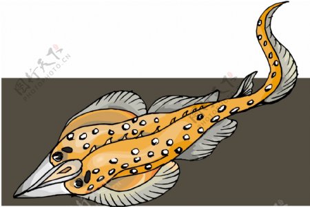 五彩小鱼水生动物矢量素材EPS格式0401