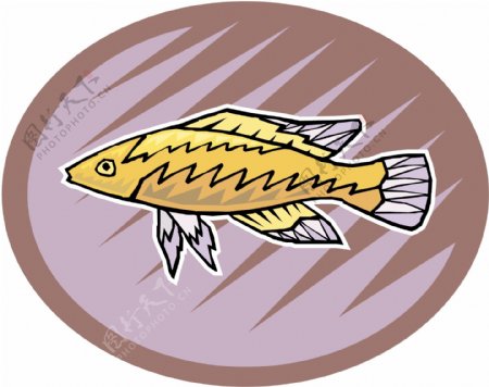 五彩小鱼水生动物矢量素材EPS格式0519