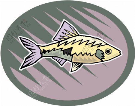 五彩小鱼水生动物矢量素材EPS格式0529