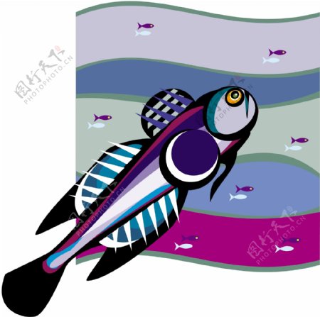 五彩小鱼水生动物矢量素材EPS格式0625