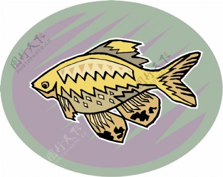 五彩小鱼水生动物矢量素材EPS格式0694