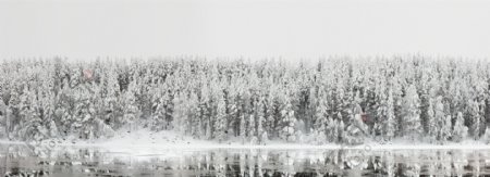 美丽森林湖泊雪景图片