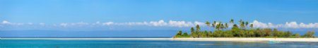 椰树海边自然风景图片
