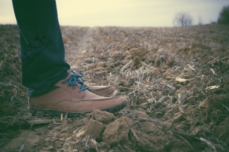 脚腿农村农场鞋子收获脚部国家土壤泥土
