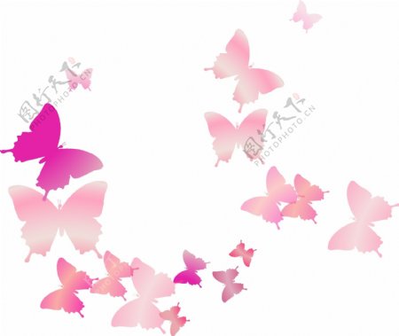 抽象蝴蝶图片