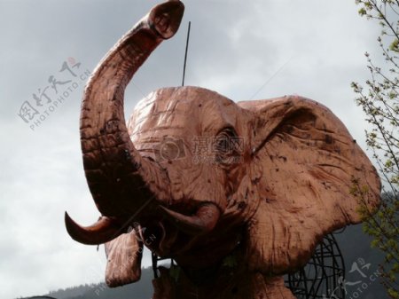 雕刻的大象头