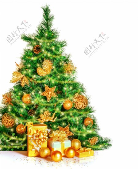 圣诞树和金色礼盒