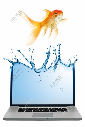笔记本电脑与金鱼创意广告图片