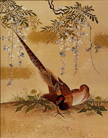 鲜花鸟类中国画