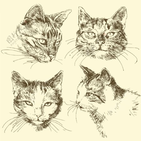 4款手绘猫头矢量素材