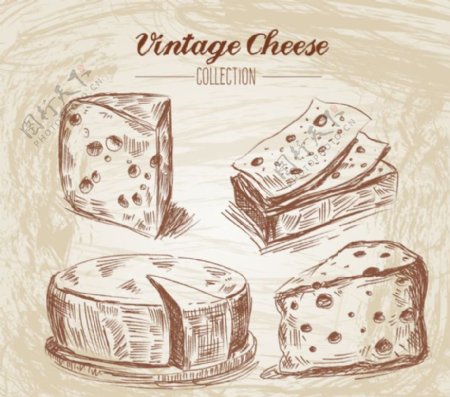 手工绘制的老式风格的奶酪