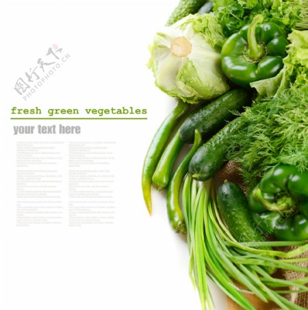 各种绿色蔬菜摄影图片