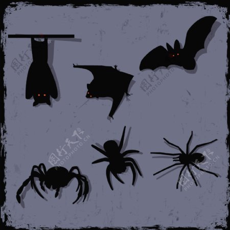向量组的蜘蛛和蝙蝠