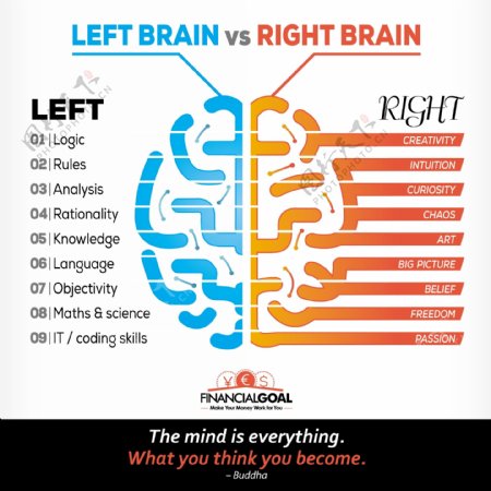 左脑和右脑