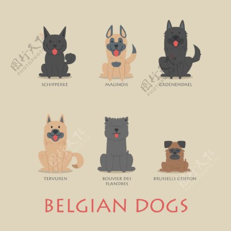 卡通比利时狗图标集矢量图