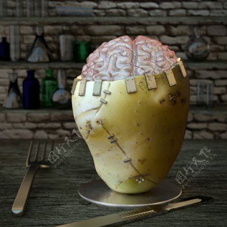 创意土豆头脑图片