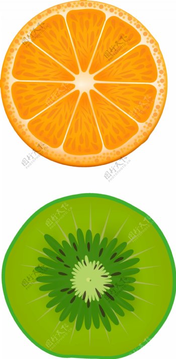 矢量橙子猕猴桃
