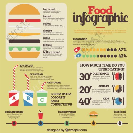 食品信息图表模板与汉堡和一些图