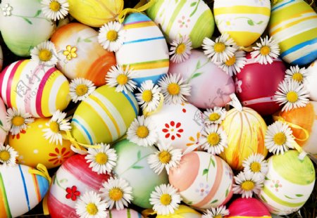 复活节彩蛋鲜花背景图片