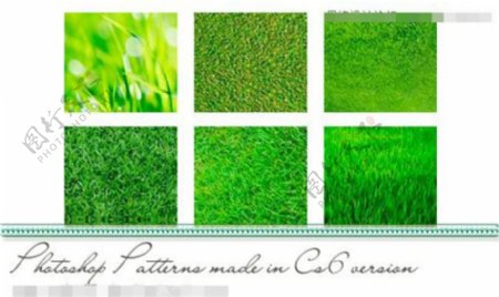 绿色草地和草丛背景PS图案