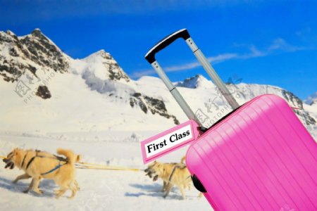 雪橇犬与行李箱图片