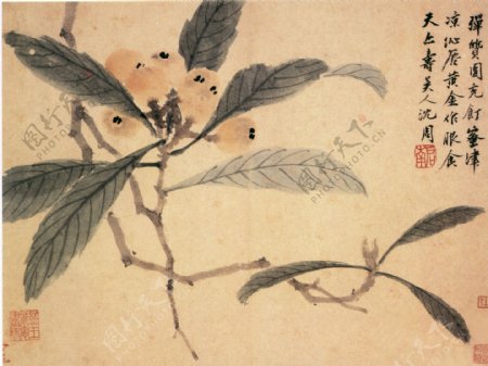 卧游图a花鸟画中国古画0193