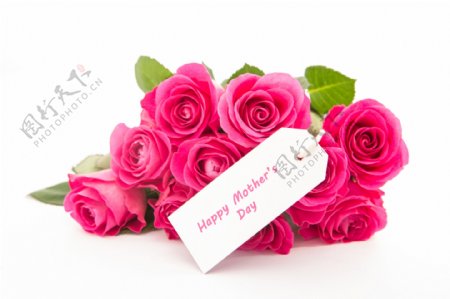 母亲节礼物美丽的玫瑰花图片