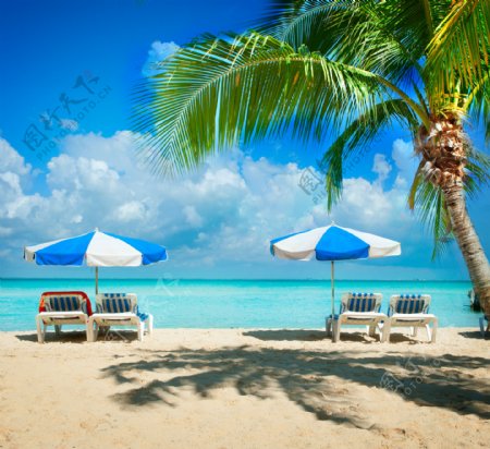 美丽海滩上的椅子太阳伞图片