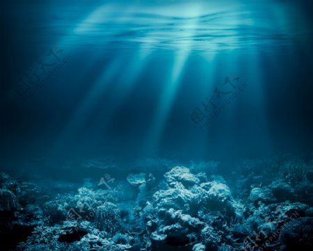 海底美景图片