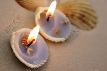 贝壳蜡烛图片
