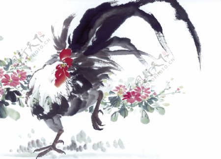 鸡写意花鸟国画0233