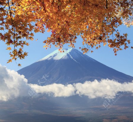 美丽富士山风景图片