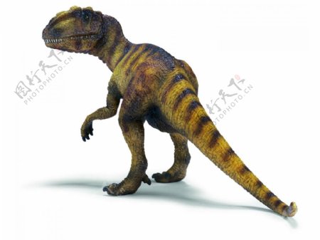 恐龙时代白垩纪