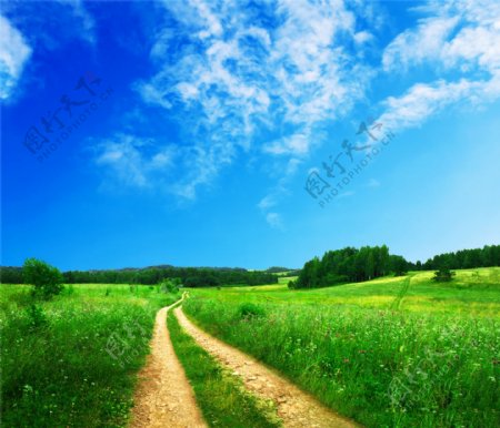 美丽的蓝天绿草风景图片