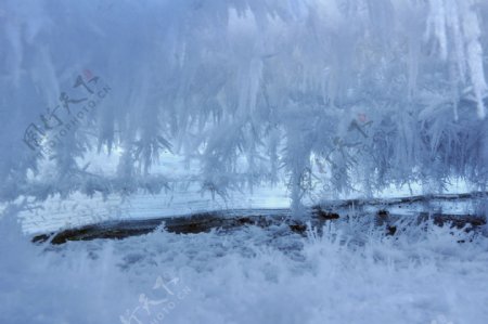 雪景图片