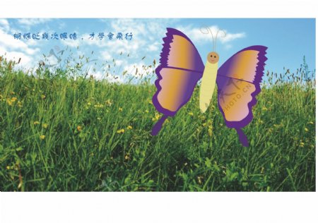 蝴蝶紫色蝴蝶黄色蝴蝶
