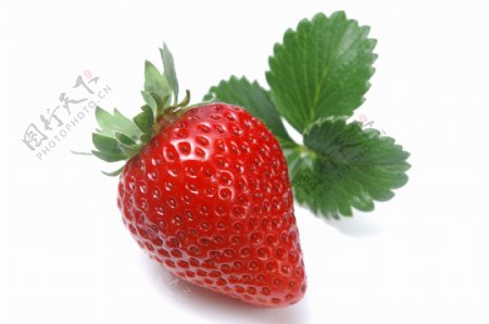 新鲜草莓图片图片