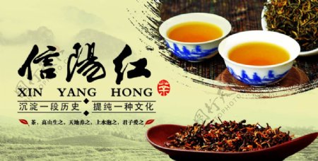 信阳红茶海报